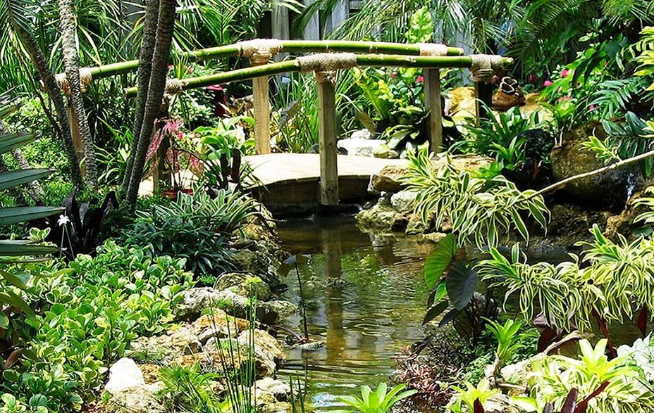 Machete Wood - Tropical Garden Supply - Riz Garden Hollywood, FL